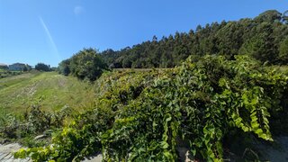 Land for sale in Barcelos, Portugal