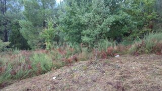 Land for sale in Cabeceiras de Basto, Portugal — €157,500