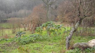Land for sale in Fafe, Portugal — €22,500