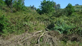 Terreno em Guimarães