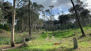 Land for sale in Esposende, Portugal — €270,000