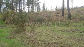Land for sale in Fafe, Portugal
