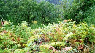 Land for sale in Vieira do Minho, Portugal — €35,000