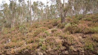 Land for sale in Celorico de Basto, Portugal — €55,000