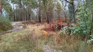 Land for sale in Fafe, Portugal — €10,000