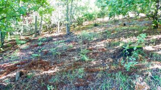 Land for sale in Amares, Portugal — €39,000