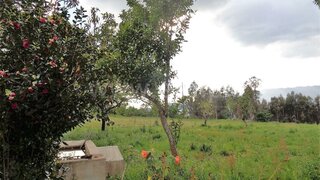 Land for sale in Póvoa de Lanhoso, Portugal — €50,000