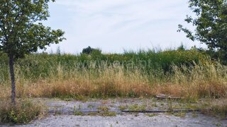 Land for sale in Vila Nova de Famalicão, Portugal — €49,500