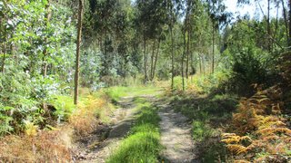 Land for sale in Barcelos, Portugal — €500,000