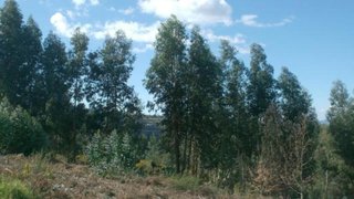 Land for sale in Póvoa de Lanhoso, Portugal — €85,000