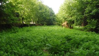 Land for sale in Amares, Portugal — €16,500