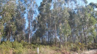 Land for sale in Fafe, Portugal — €70,000
