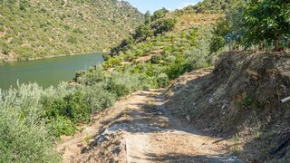 Land for sale in Freixo de Espada à Cinta, Portugal — €200,000