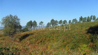 Terreno em Fafe