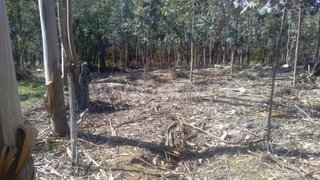 Land for sale in Fafe, Portugal