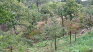 Land for sale in Fafe, Portugal