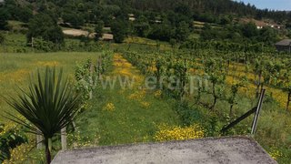Land for sale in Vieira do Minho, Portugal — €35,000