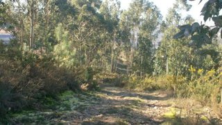 Land for sale in Póvoa de Lanhoso, Portugal — €37,500