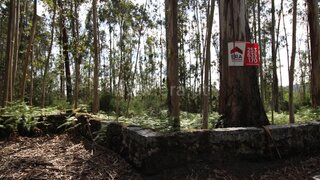 Land for sale in Braga, Portugal — €130,000