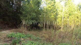 Land for sale in Fafe, Portugal — €13,500
