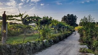 Land for sale in Barcelos, Portugal — €54,500
