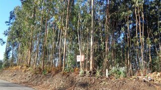 Land for sale in Póvoa de Lanhoso, Portugal — €16,000