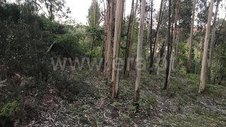 Land for sale in Fafe, Portugal — €26,500