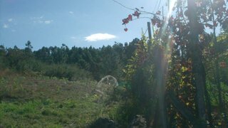 Land for sale in Póvoa de Lanhoso, Portugal — €75,000
