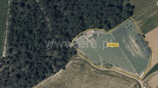 Land for sale in Barcelos, Portugal — €215,000