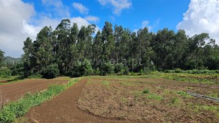 Land for sale in Esposende, Portugal — €110,000