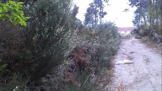 Land for sale in Fafe, Portugal