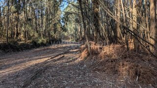 Land for sale in Barcelos, Portugal — €20,000
