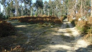 Land for sale in Fafe, Portugal
