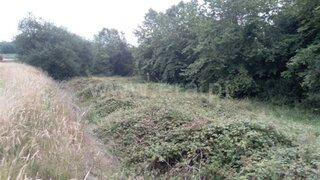 Terreno em Celorico de Basto