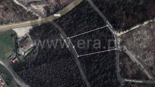 Land for sale in Celorico de Basto, Portugal — €25,000