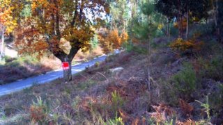 Land for sale in Fafe, Portugal — €200,000