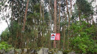 Land for sale in Póvoa de Lanhoso, Portugal — €67,000
