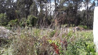 Terreno em Esposende