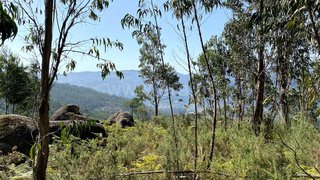 Land for sale in Amares, Portugal — €15,000