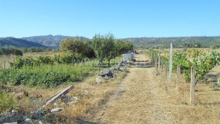 Land for sale in Nisa, Portugal — €17,500
