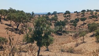 Land for sale in Serpa, Portugal — €225,000