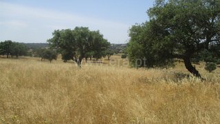 Land for sale in Nisa, Portugal — €14,000