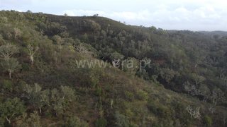 Land for sale in Odemira, Portugal — €54,000