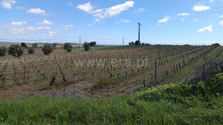Land for sale in Reguengos de Monsaraz, Portugal — €100,000