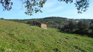 Land for sale in Nisa, Portugal — €22,500