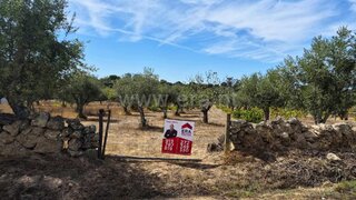Land for sale in Nisa, Portugal — €17,000