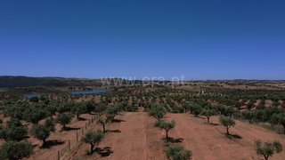 Terreno em Portel
