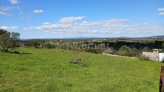 Land for sale in Nisa, Portugal — €17,500