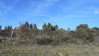 Land for sale in Nisa, Portugal — €15,000