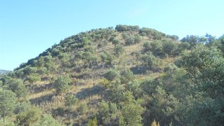 Land for sale in Nisa, Portugal — €22,500